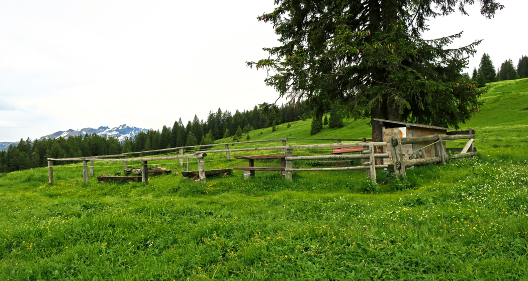 Feuerstelle Heidienberg (oua_603362678_image)