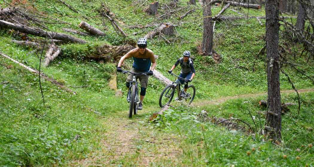 Arpiglia Trail Arpiglia Trail