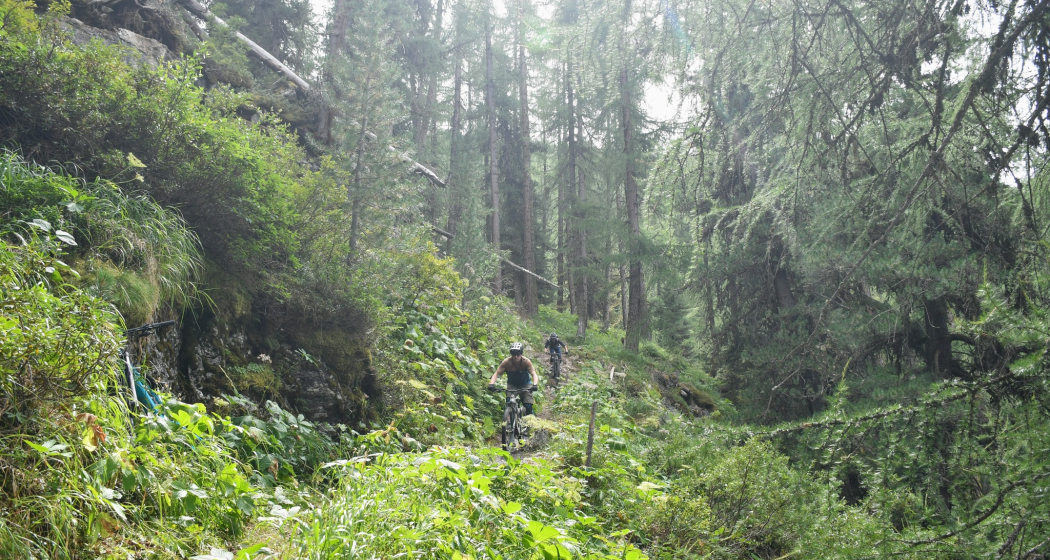 Arpiglia Trail Arpiglia Trail