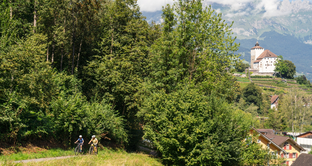 Schlossweg von Werdenberg nach Sargans (oua_603963663_image)