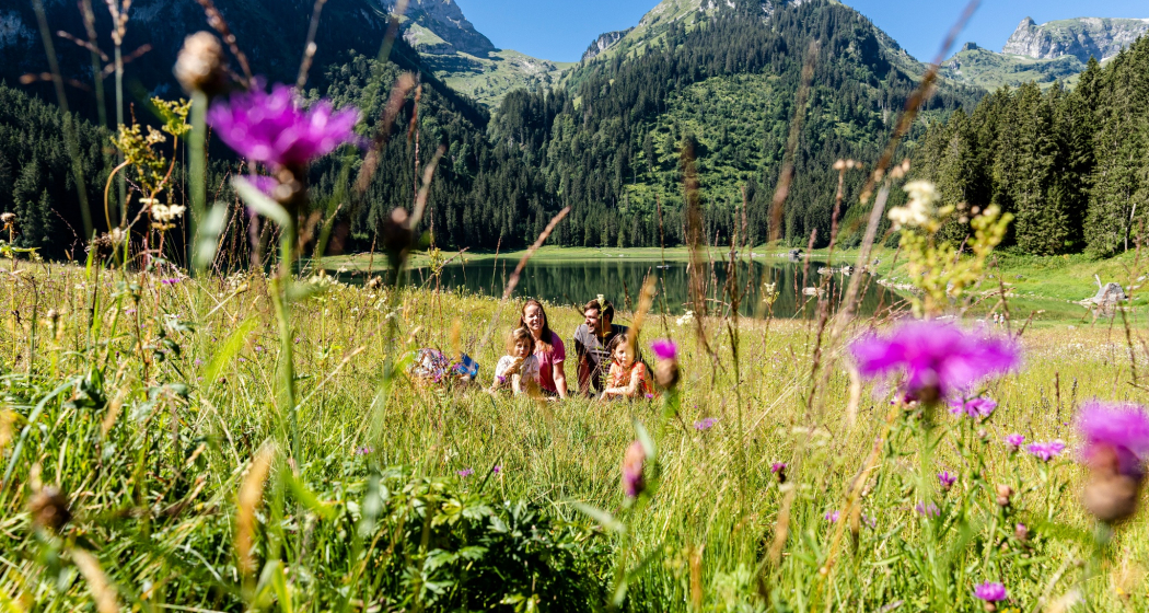 Über Nideri und Höchst (oua_604281371_image)