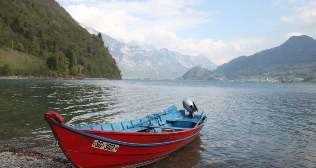 Walensee & Umgebung (oua_604421661_image)