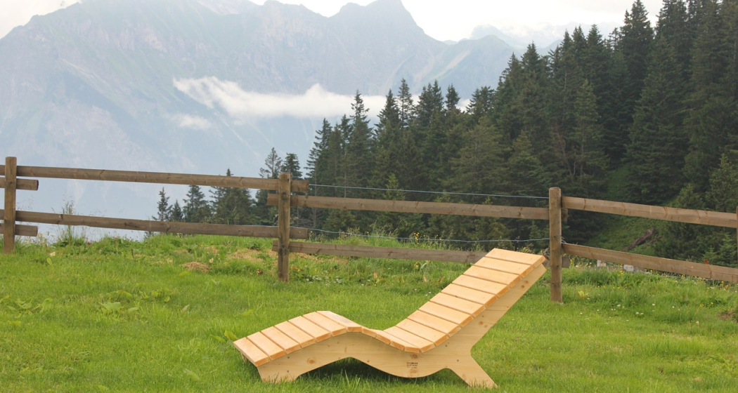 Geissenweid auf Öhi’s Alp (oua_604421724_image) Geissenweid auf Öhi’s Alp (oua_604421724_image)