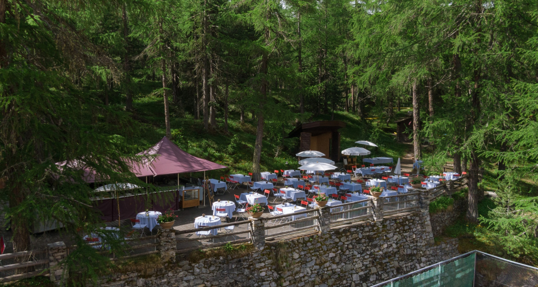 Die Gartenterrasse beim Hotel Waldhaus (oua_604430890_image)