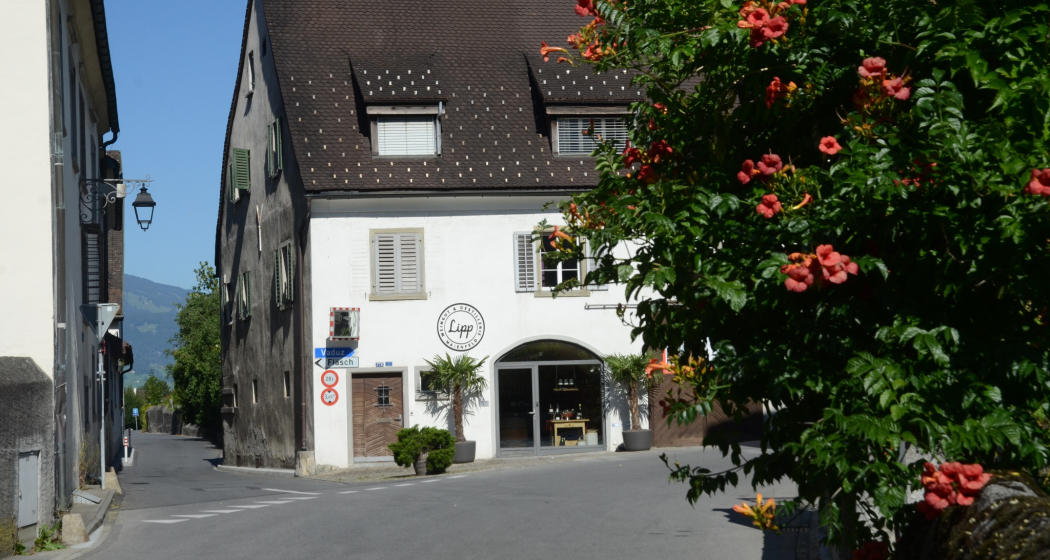 Unteres Gugelberghaus (oua_604435831_image)