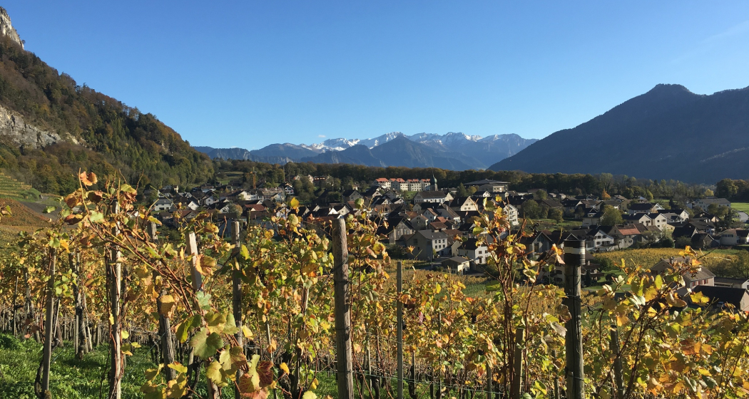 Fläsch (oua_604478381_image) Fläsch (oua_604478381_image)