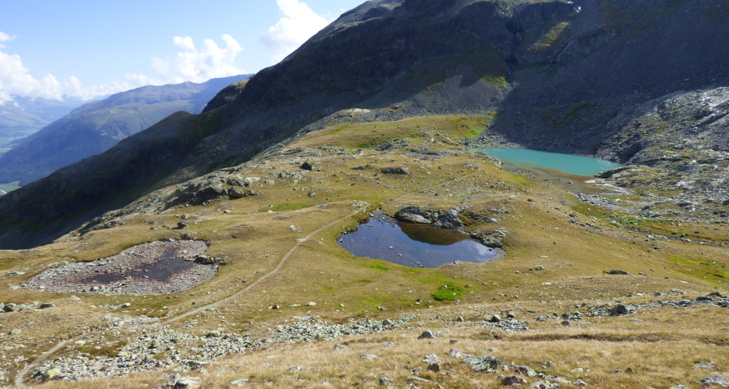 Bergsee Lej da l'Ova Cotschna (oua_604488540_image)