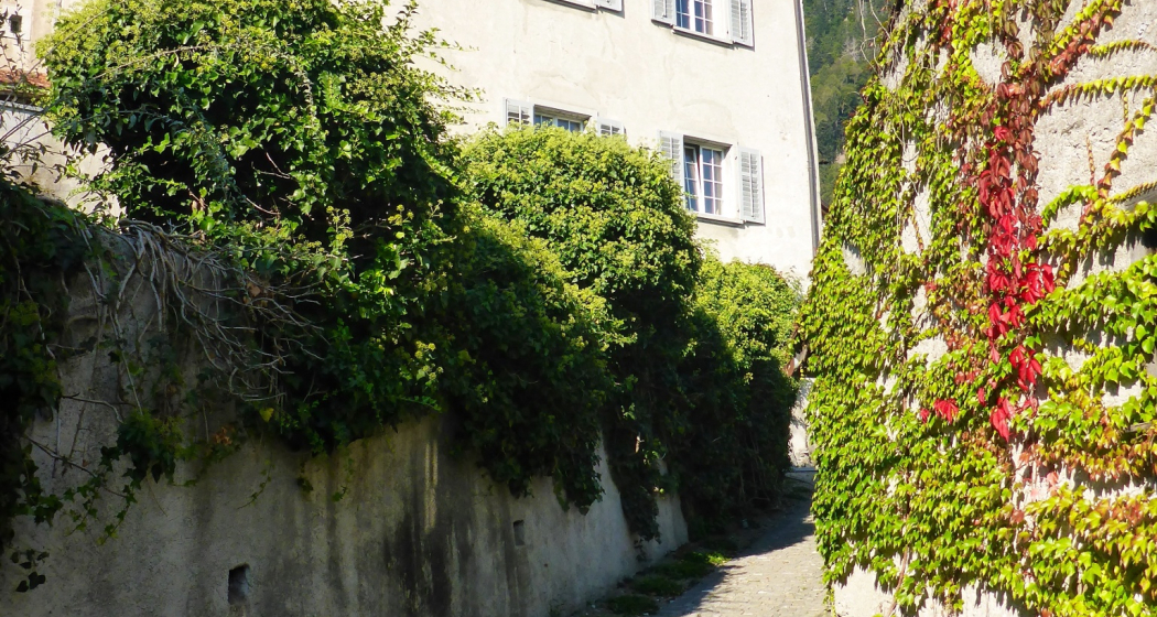 Unteres Sprecherhaus (oua_604535499_image)