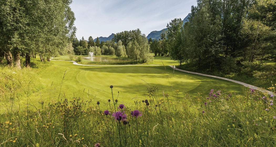 Golf Club Heidiland (oua_604535563_image)