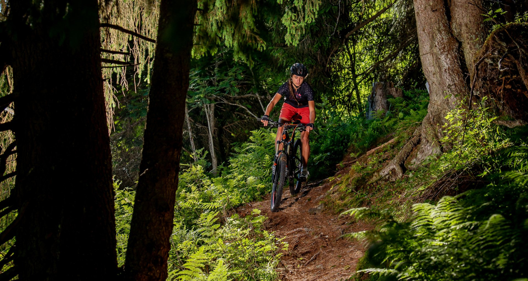 Technische Waldtrails Technische Waldtrails