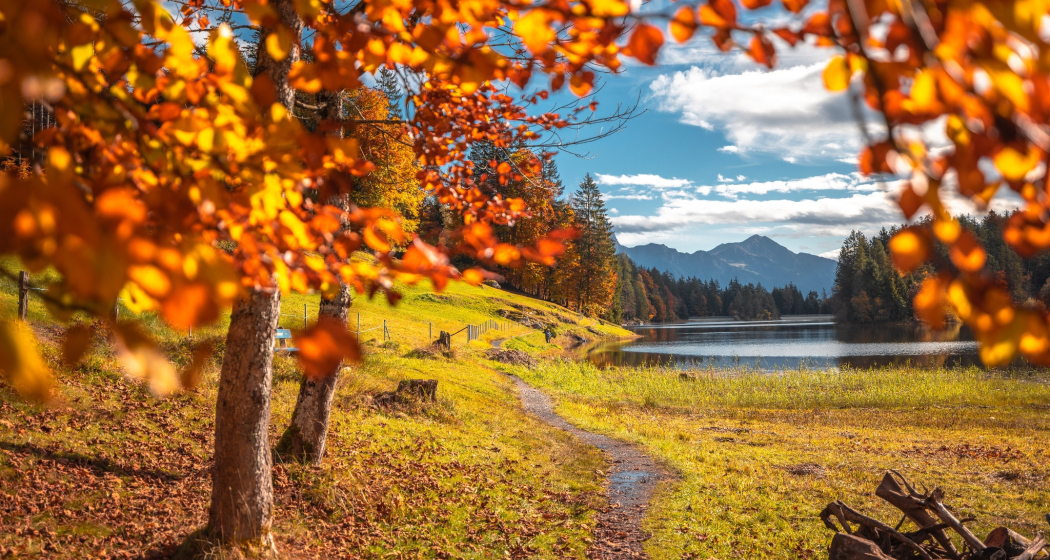 Herbststimmung am Chapfensee Herbststimmung am Chapfensee