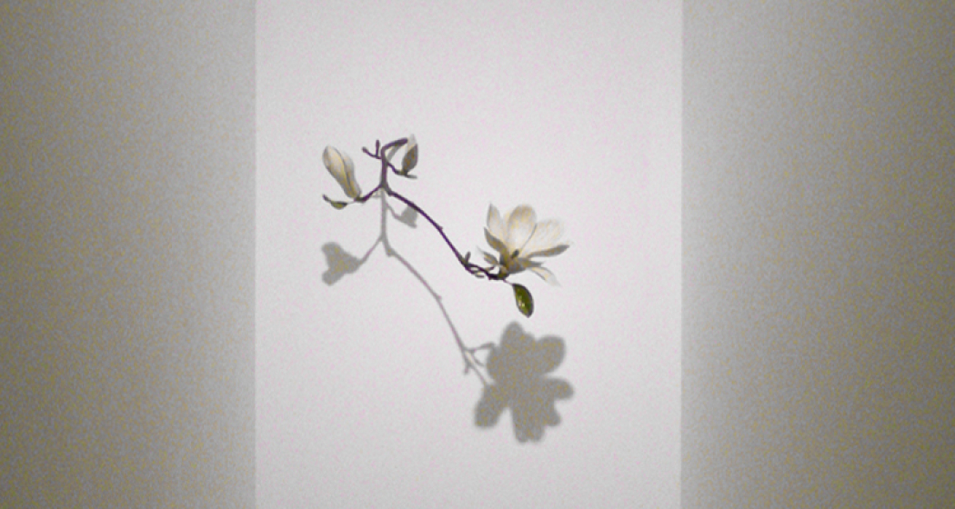 Galerie 107 (oua_605632602_image) Galerie 107 (oua_605632602_image)
