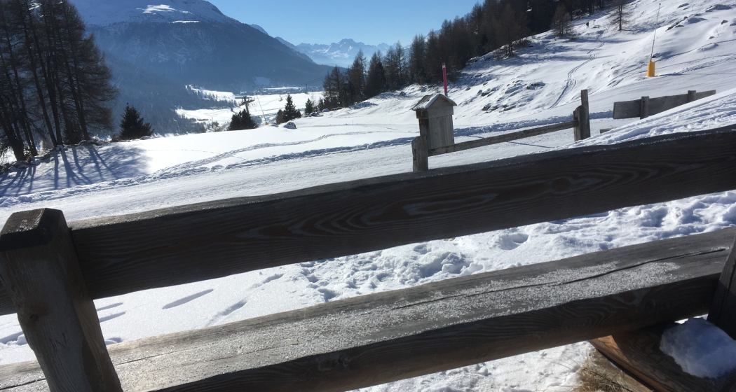 Sitzbank Purtum III (oua_605633034_image)