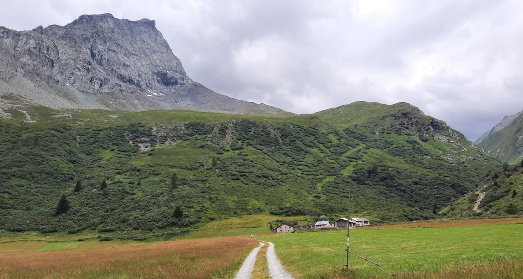 Plang Faller Plang Faller