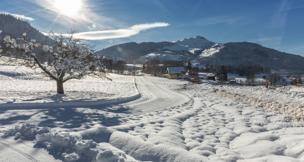 Gute Loipe, auch mit wenig Schnee Gute Loipe, auch mit wenig Schnee