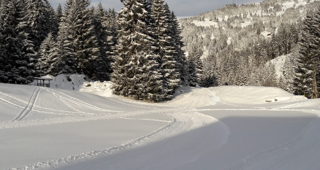 Kleinstloipe für Skating Kleinstloipe für Skating