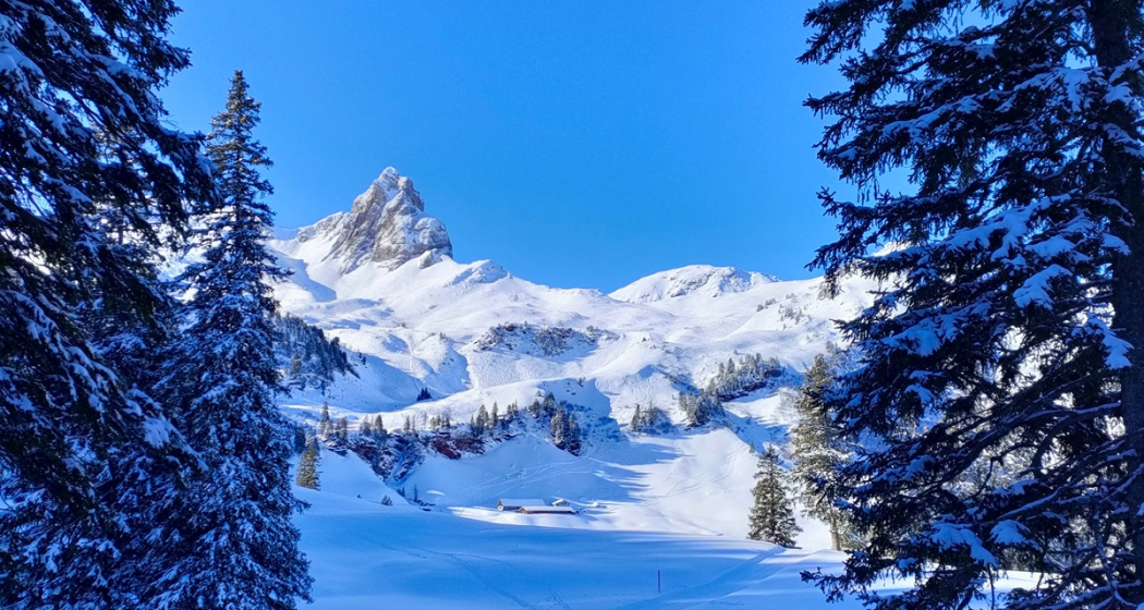 Wenige Meter noch bis zur Seebenalp