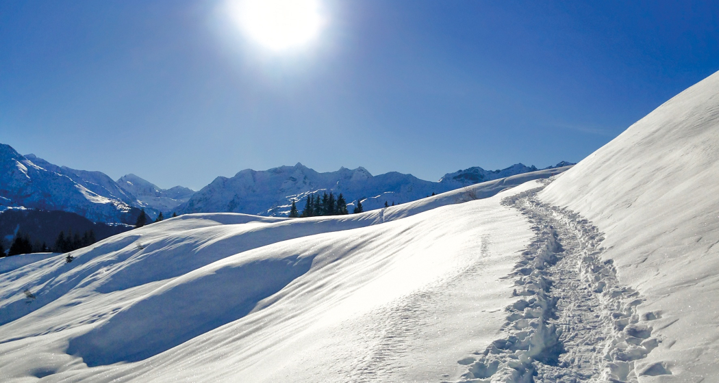 Im Aufstieg zum Cuolmet Im Aufstieg zum Cuolmet