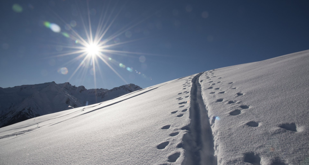 Spuren im Schnee Spuren im Schnee