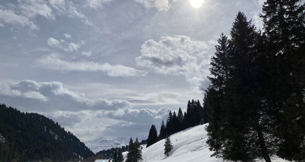 Gegenlicht im Ladral