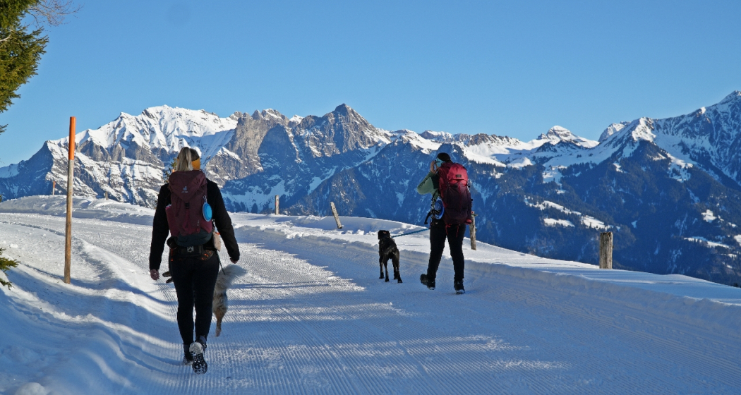 Hundefreundliche Winterwanderung im Taminatal