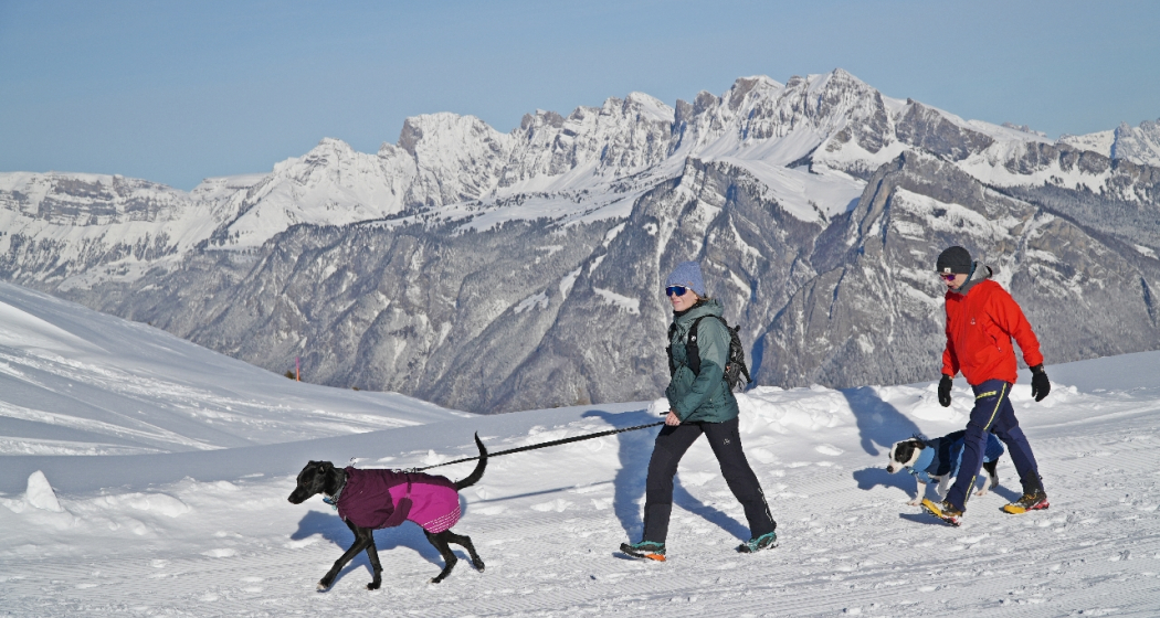 Winterwanderweg Pardiel - Laufböden am winterlichen Pizol