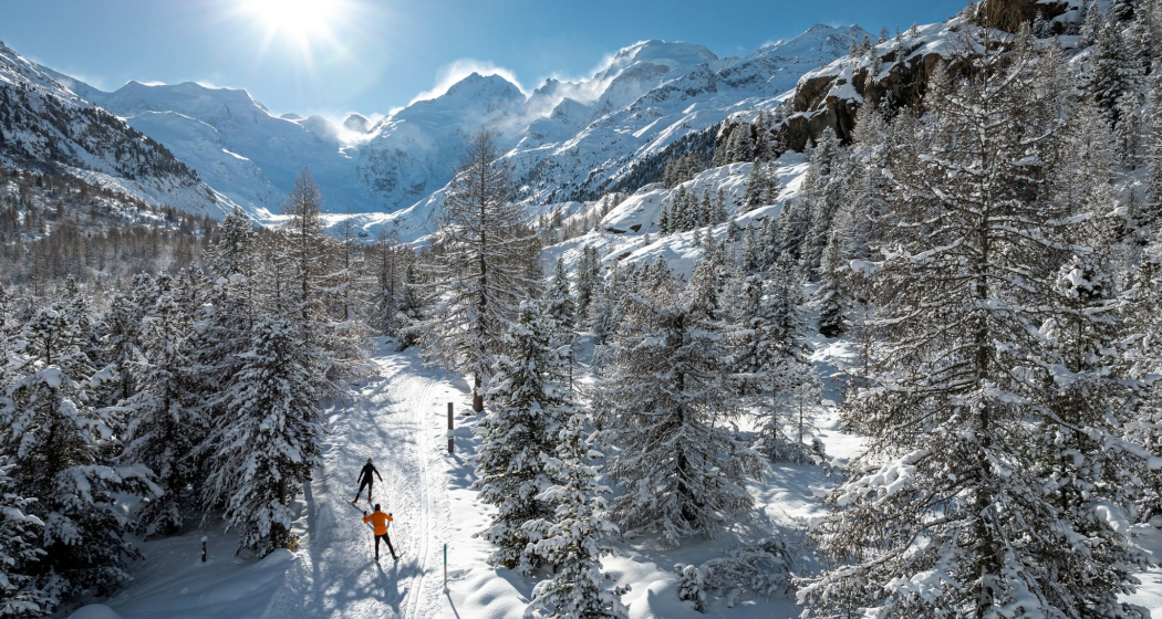Pontresina - Morteratsch (oua_607839245_image) Pontresina - Morteratsch (oua_607839245_image)