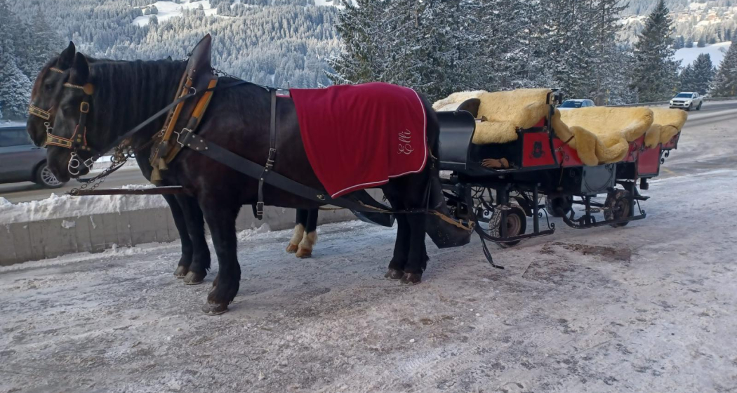 Pferdekutschen Bruno Hassler (oua_608063507_image) Pferdekutschen Bruno Hassler (oua_608063507_image)