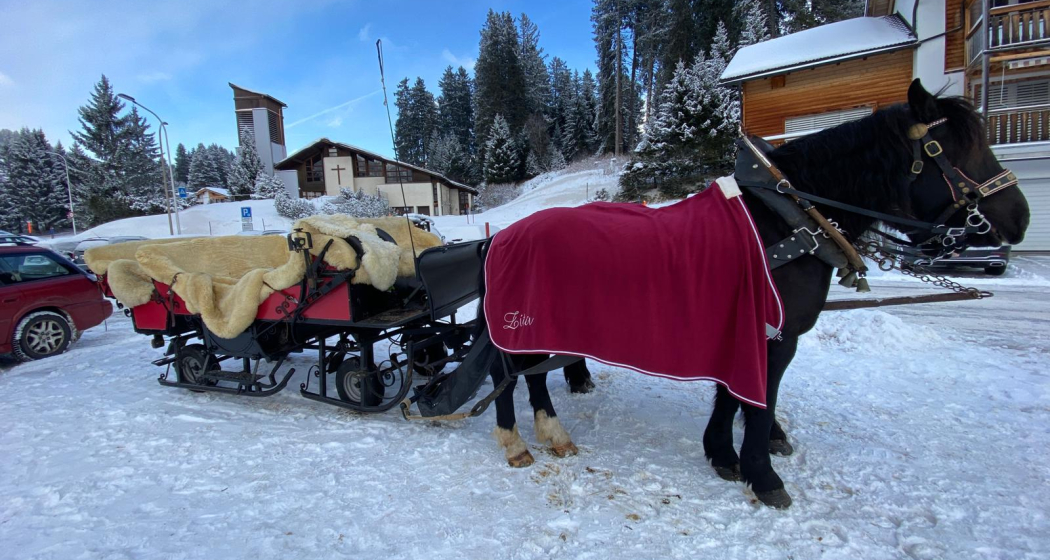 Pferdekutschen Bruno Hassler (oua_608063508_image) Pferdekutschen Bruno Hassler (oua_608063508_image)