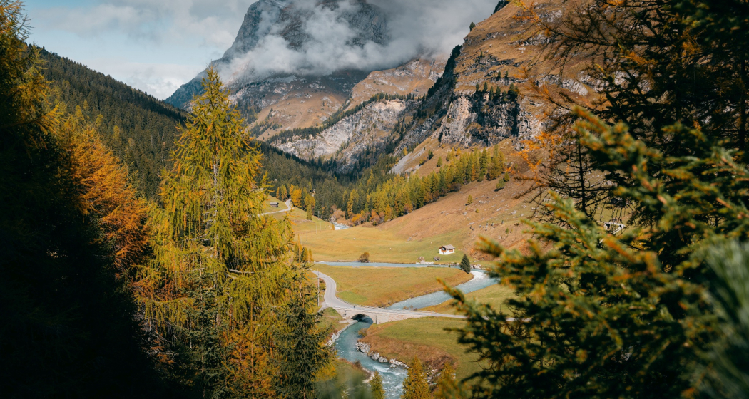 Campsut im Herbst Campsut im Herbst