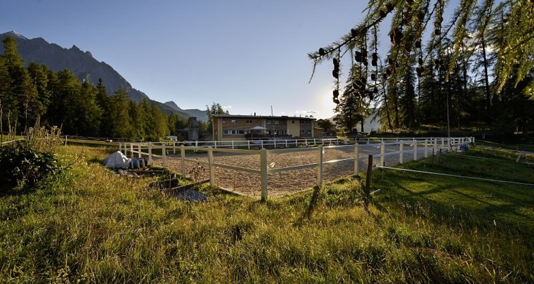 Sommerbild Saloon Sommerbild Saloon