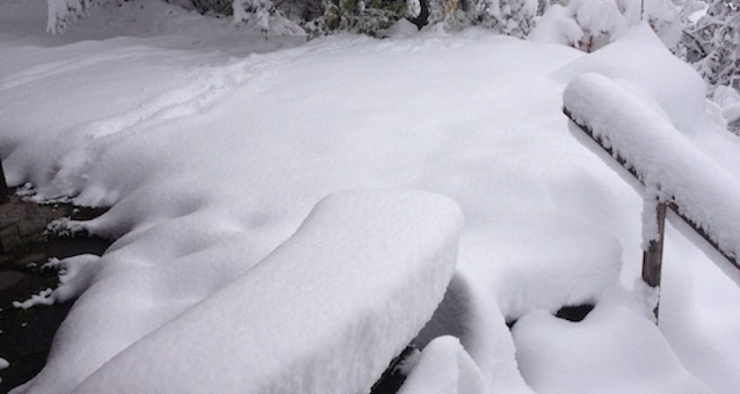 Ferienhaus Muntanella (oua_60853797_image)