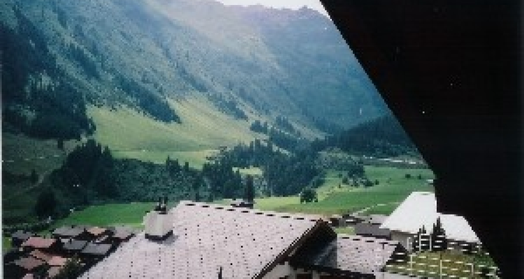 Aussicht Sommer Aussicht Sommer