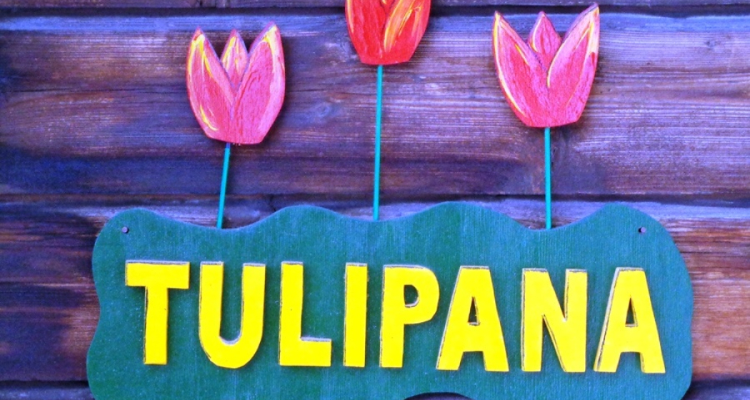 Tulipana
