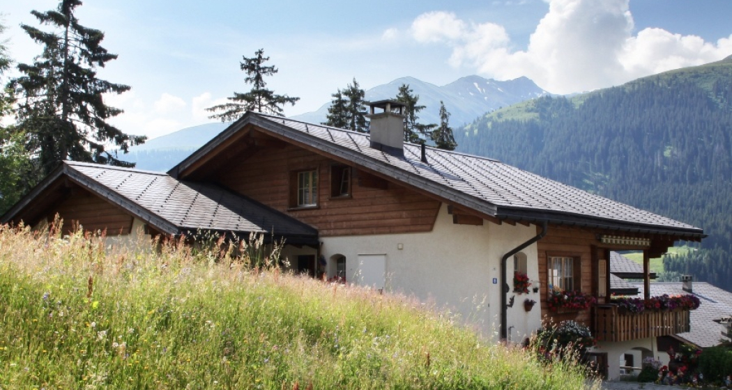 Ferienwohung Cavegn-Cavigelli (oua_60856608_image)