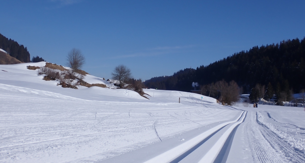 Klassisch und Skating gespurt Klassisch und Skating gespurt