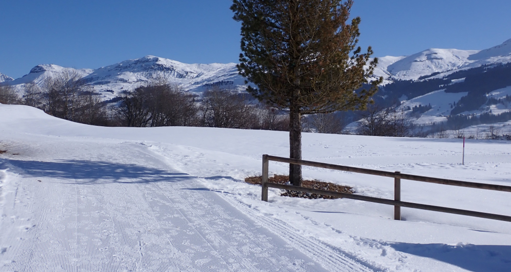 Wunderbare Flächen für einfaches Winterwandern Wunderbare Flächen für einfaches Winterwandern