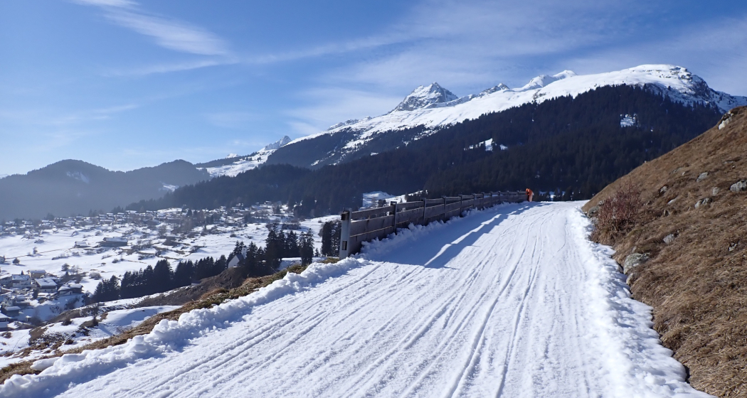 Kontrastreich im Frühling