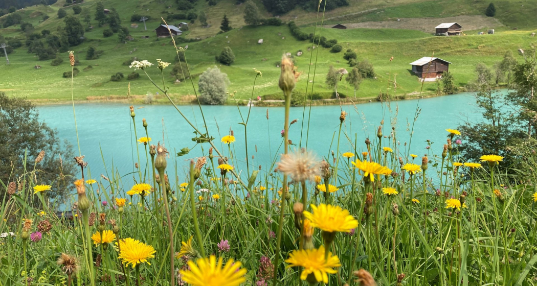 Der Brigelser Stausee Der Brigelser Stausee