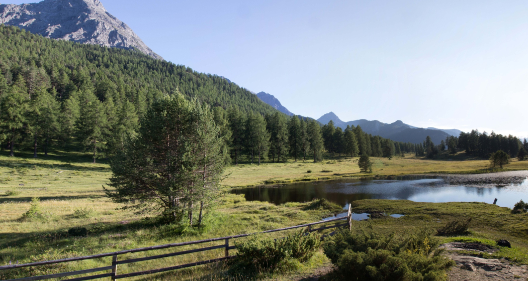 Tarasp (Rundwanderung) (oua_609916501_image) Tarasp (Rundwanderung) (oua_609916501_image)
