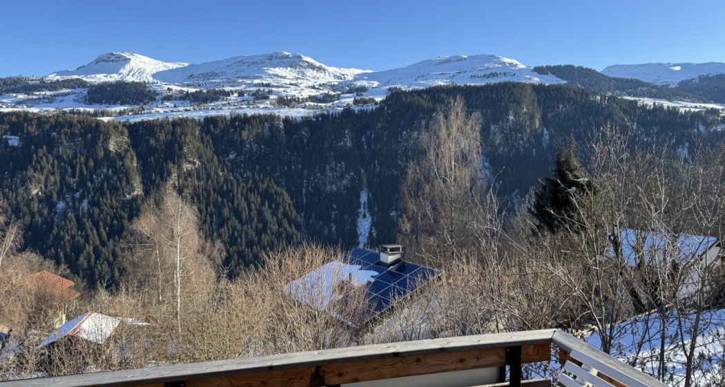 Ferienwohnung Alp Dado - Aussicht