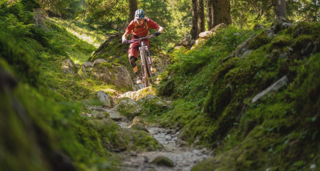 Crest da Tiarms (oua_610300064_image)