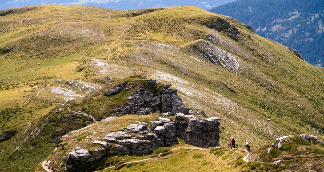 Crest da Tiarms (oua_610300065_image)