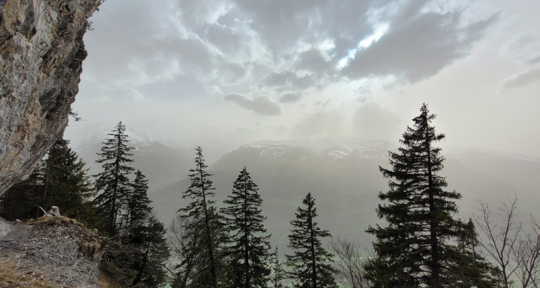 Trail- Route: Hinterspina Palfries