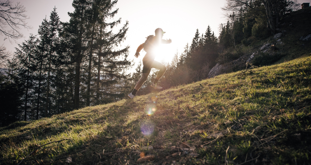 Trail- Route: Hinterspina Palfries