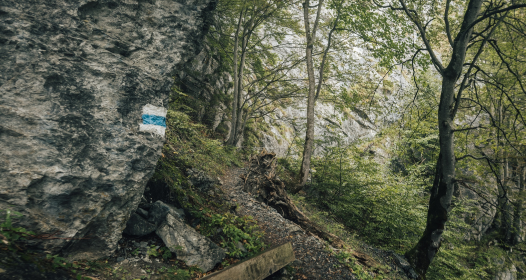 Trail- Route: Gonzenleiter Palfries Trail- Route: Gonzenleiter Palfries