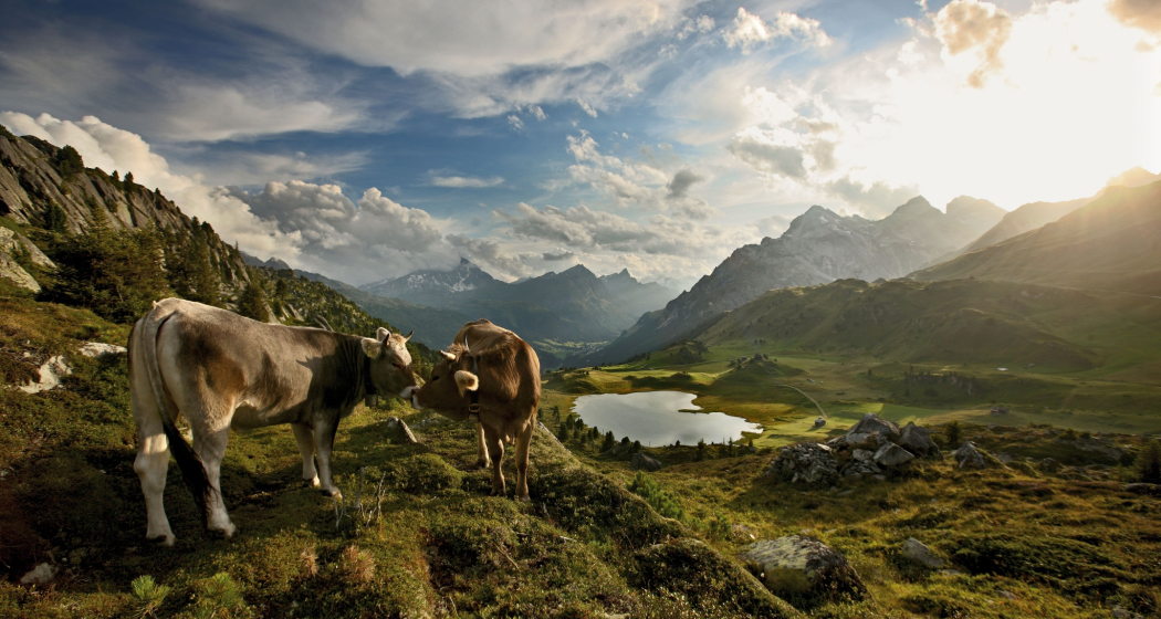 Lai da Vons (oua_611519280_image)