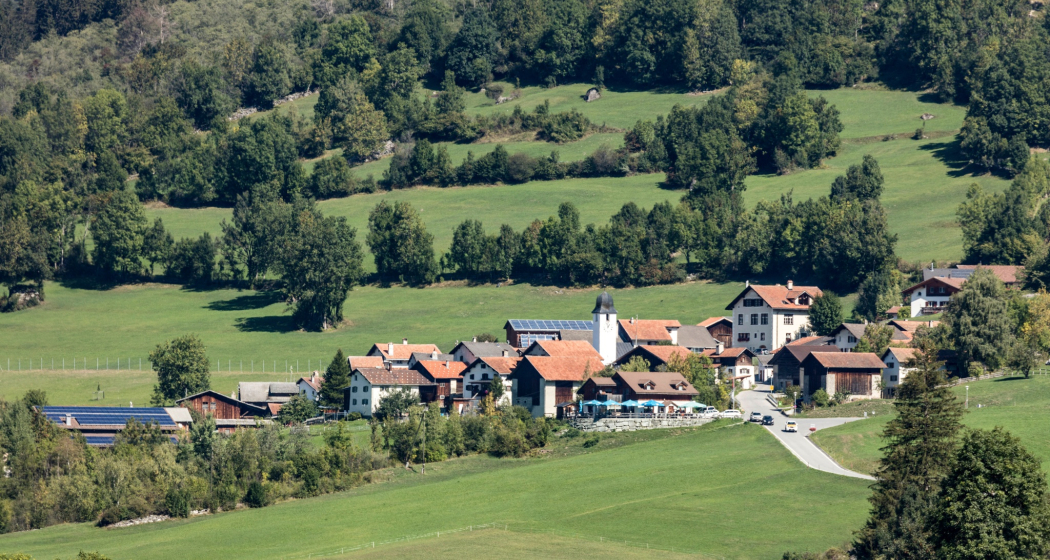 Pignia (oua_611519495_image) Pignia (oua_611519495_image)