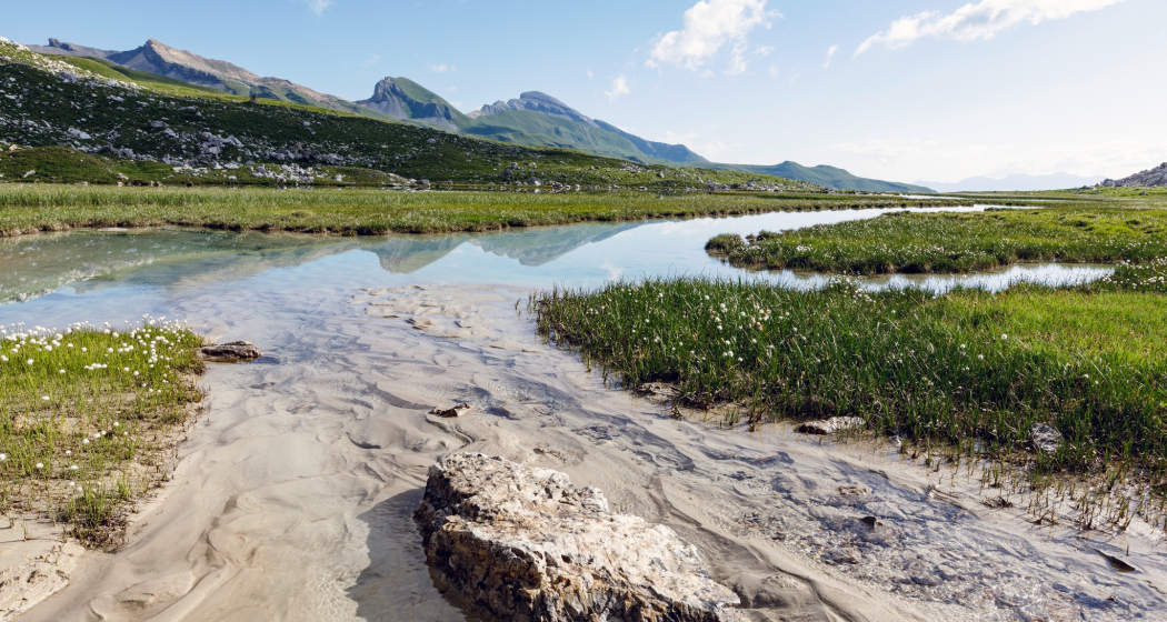 Lai Pintg (oua_611519505_image)