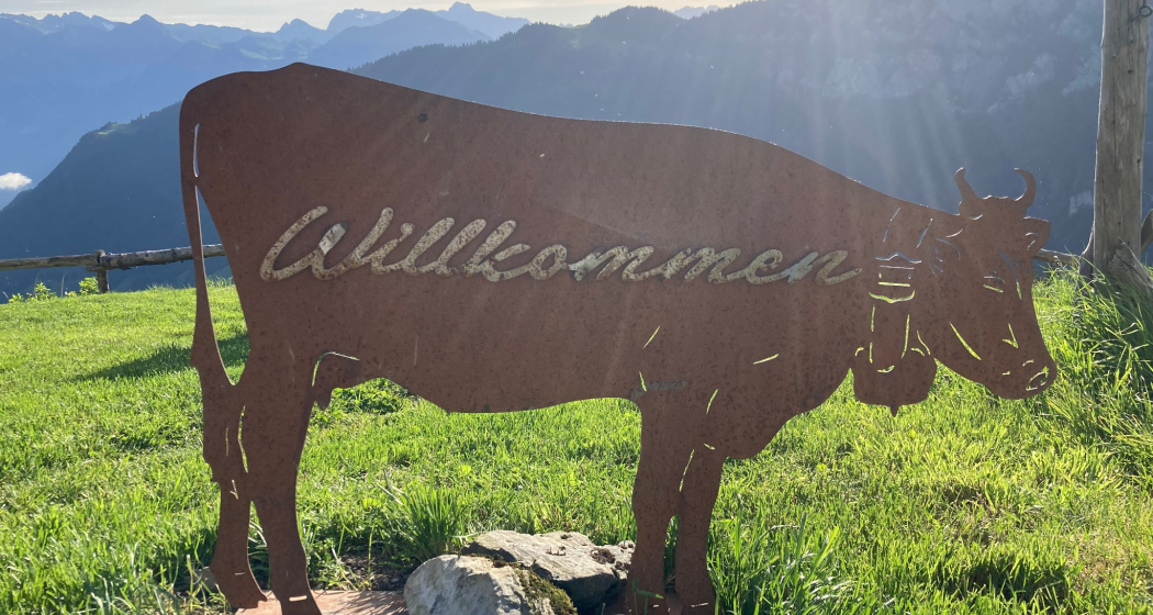 Alp Findels (oua_611519998_image) Alp Findels (oua_611519998_image)